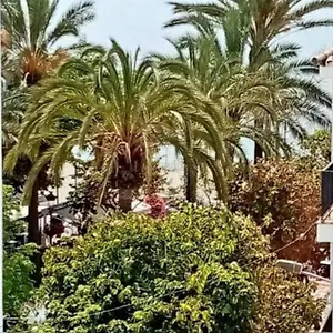 Beach Old Town Apartamento Estepona